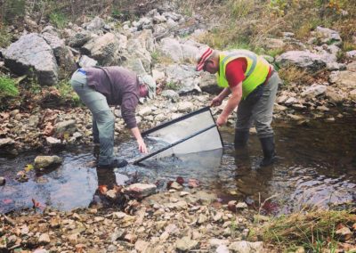 Dardenne Creek Monitoring: Volunteers Monitoring the Creek